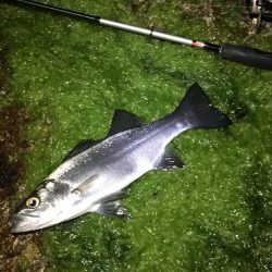 自己記録更新っ!!