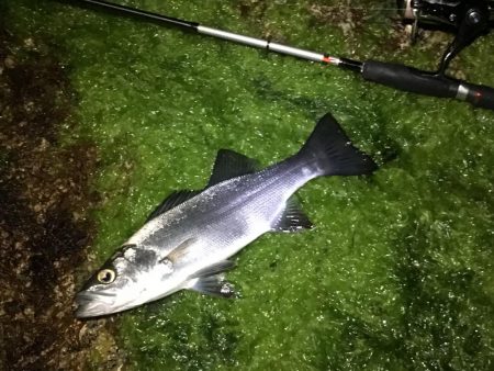 自己記録更新っ!!