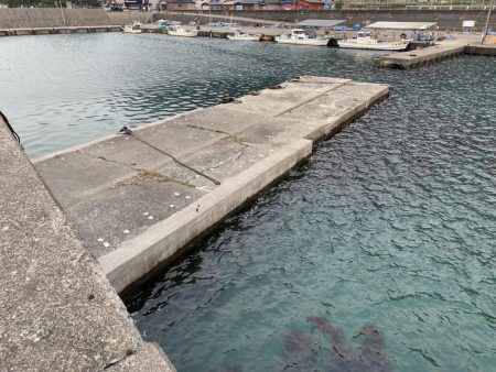 根魚ちゃん、こんにちは!