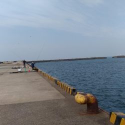 まるまる太ったアジ