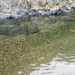 解禁日だより ’19