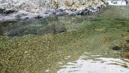 解禁日だより ’19