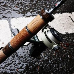 アマゴ釣り Vo,2