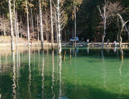 激難！朽木渓流魚センター 釣果。