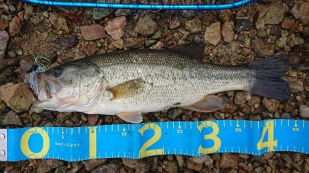 雨の日曜日三種目達成