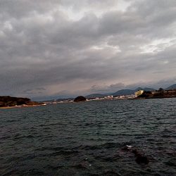 サビキ釣りで、アジ釣れました!!