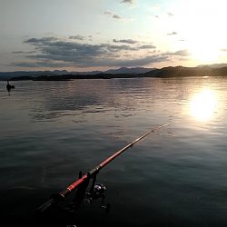 久しぶりのいっぱいでした!!