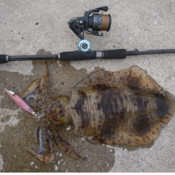 我慢できずで仕事終わりに。