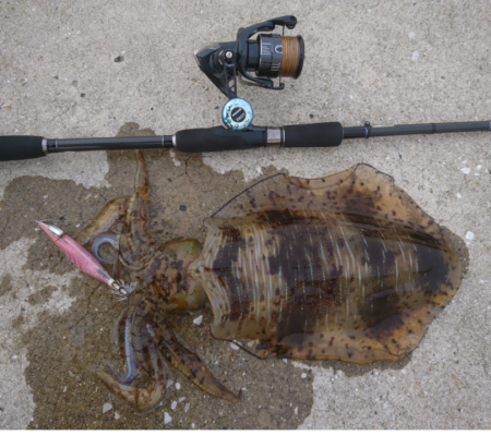 我慢できずで仕事終わりに。