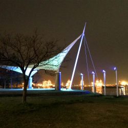 「今日は釣れるでー」と