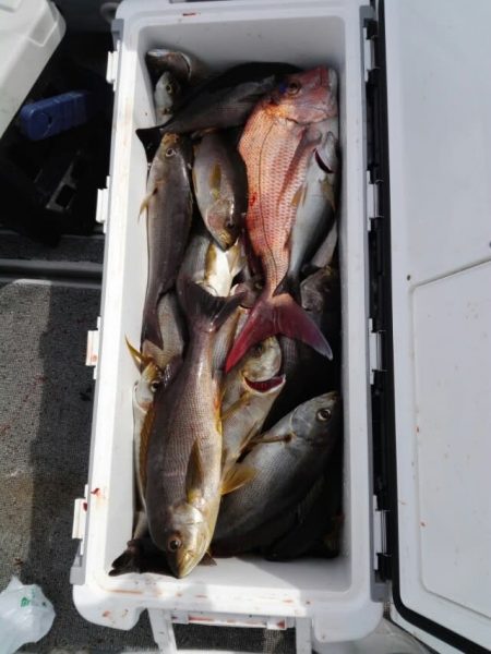 第二大福丸 釣果