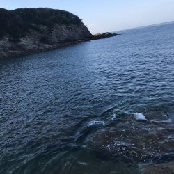 椿でエギング春イカ調査