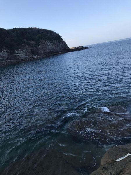 椿でエギング春イカ調査