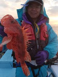 3/2　潮動かず風無しも大型連続浮上↑↑↑w(*ﾟoﾟ*)w