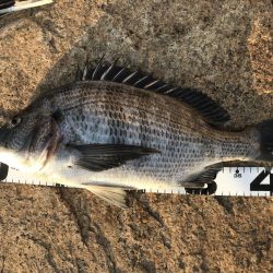 イチノ兄弟、釣果！