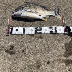 強風の中 ボウズ逃れられました！