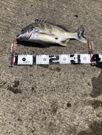 強風の中 ボウズ逃れられました！