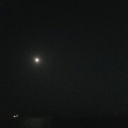 タチウオ釣り ~粘る価値アリ!~