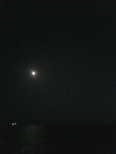 タチウオ釣り ~粘る価値アリ!~