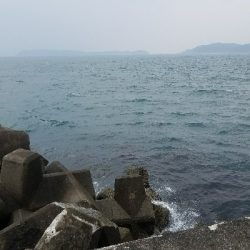 イワシ釣り ~サバ、37.5センチ~