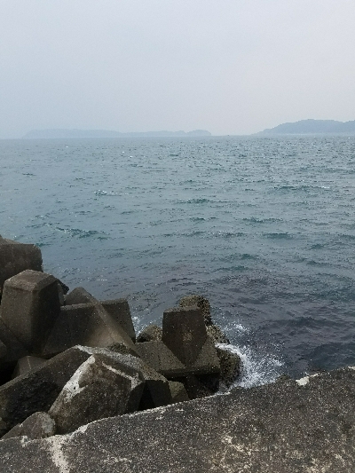 イワシ釣り ~サバ、37.5センチ~