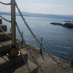 スズキ釣り　～スズキ、79センチ～