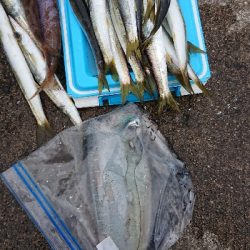 離島すげぇ(゚∀゚)