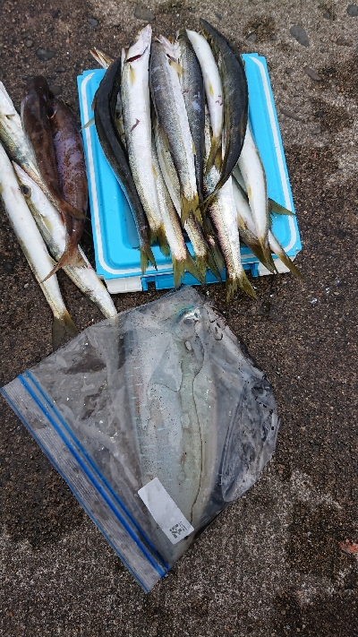 離島すげぇ(ﾟ∀ﾟ)