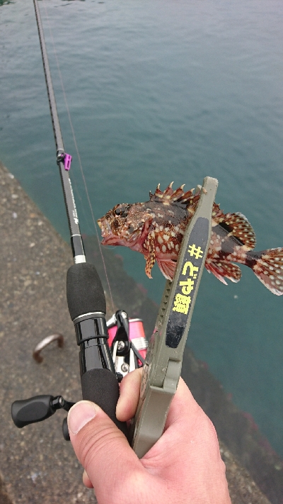 リベンジ串本２