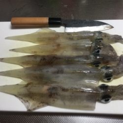 ササイカエギング