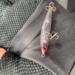 止水！ミラーシーバス！！