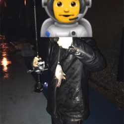 初通詞島ライトゲーム