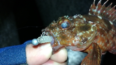 ナイトメバリング