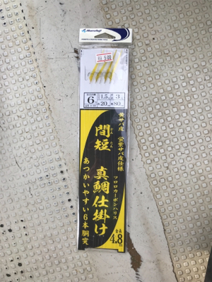 鯛サビキ  明石〜淡路島周辺