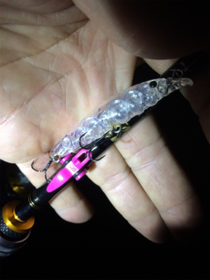 バースデーフィッシュ!(再