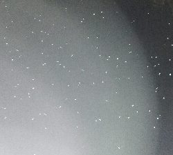 2019年3月9日釣行in船越漁港&姪浜漁港