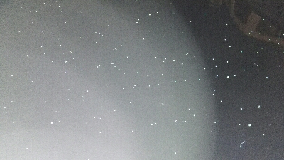 2019年3月9日釣行in船越漁港&姪浜漁港