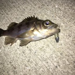 マイクロメバリング