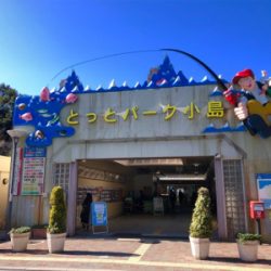 ようやくメジロ