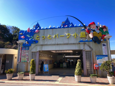 ようやくメジロ