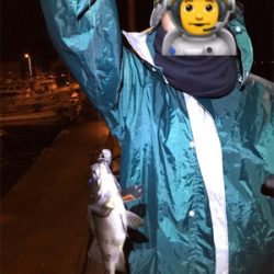 メバリングin御所浦三日目