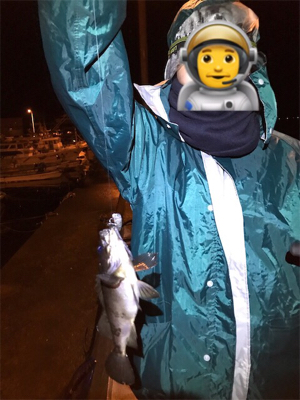 メバリングin御所浦三日目