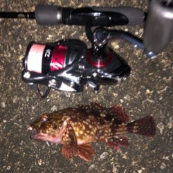 うみかぜ公園メバリング