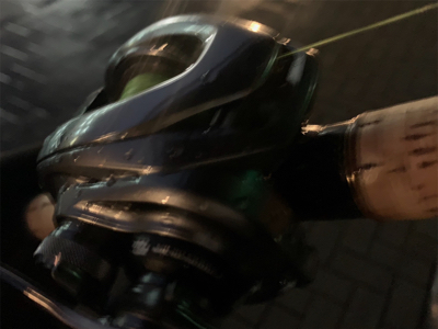 嵐明けのハンサムシーバス♫