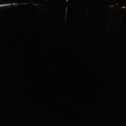 ガッシーのオンパレード