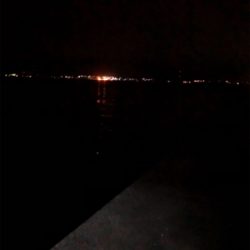 ナイトガシリング