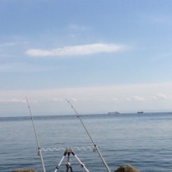 ポン級釣れました