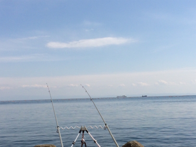 ポン級釣れました