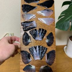 海釣りポート田尻にて