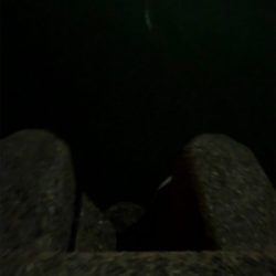 ナイトアジング